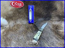 1979 Case HA199 1/2 Naughty Lady Knife Mint In Factory Blue Box Nice & Rare