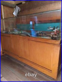 Antique display cases for collectibles Pick Up Only